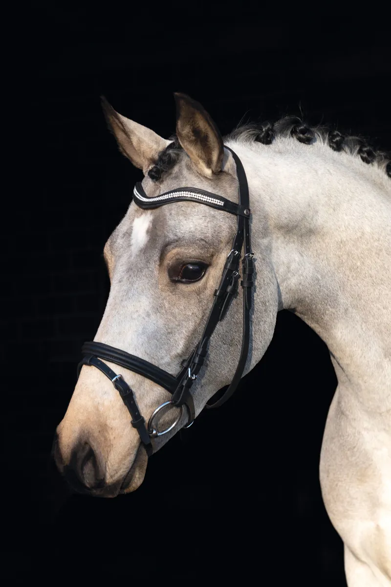 HKM Little Star Flash Bridle in Black-2